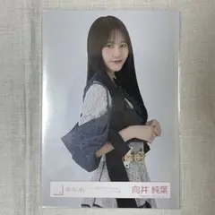 櫻坂46 生写真 向井純葉 5th Addiction オープニング衣装