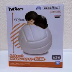 2026年最新】すやすやルームライト 影山飛雄の人気アイテム - メルカリ