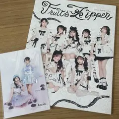 FRUITS ZIPPER lovers book by LARME