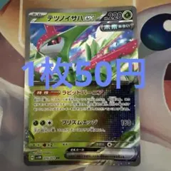 ポケモンカード　テツノイサハex