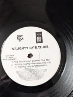 Naughty By Nature 12インチシングル 5枚セット Naughty By Nature (Vinyl): NAUGHTY BY NATURE: Amazon.ca: Music