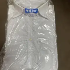 Item thumbnail for item dc707305-8a62-4417-9e44-5e7344f4c15b