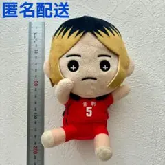 ハイキュー！！ ぬいぐるみ 孤爪研磨 音駒高校 5番