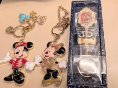 ディズニー　バッグチャーム　30周年スーベニアスプーン　セット