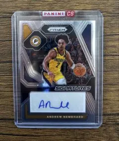 Andrew Nembhard auto prizm pacers