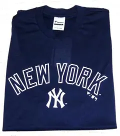 セールファナテックス NY ニューヨーク シティネームドライ Tシャツ 吸水速乾のサムネイル