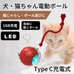 猫 犬 おもちゃ 電動 自動 ボール 猫じゃらし USB充電 光る ネコじゃらしのサムネイル