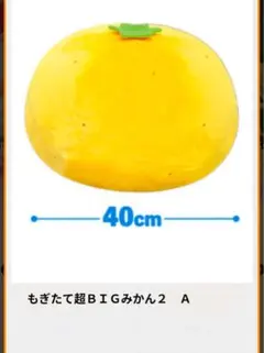 Item thumbnail for item 2cebd85c-7430-4773-831c-f309398927f0