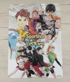 ハイキュー ビジュアルボード Sportiva バレーボール男子日本代表特集号