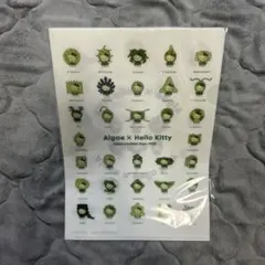 kao min様 リクエスト 2点 まとめ商品