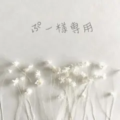 ❁﻿ぷー様専用ページ❁﻿