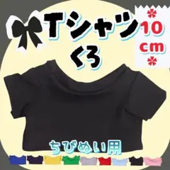 黒 Tシャツ 10cm ぬい服 アイドル 韓国 アニメ 推し活 ぬい活 無属性