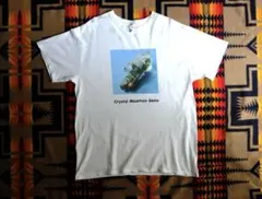 ア*m様 ANVIL TOOL トゥール バンドTシャツ バンTee L - メルカリ