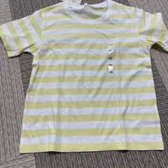 Item thumbnail for item 0eca490d-f2b4-4031-ab1d-ccfab4a793f3