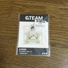 &TEAM NICHOLAS アクリルキーチェーン　Colorful