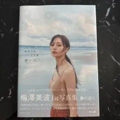 Item thumbnail for item d740c51e-598f-4797-8be2-906123e39d19