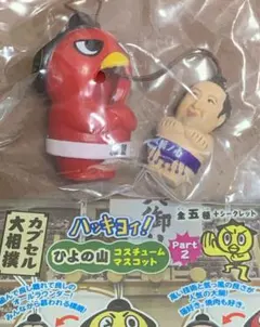 大相撲 ★ ひよの山コスチューム／赤鷲×栃ノ心 (フライヤー付) 未使用品