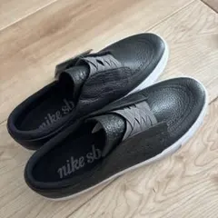 Nike SB ブラック スリッポンスニーカー