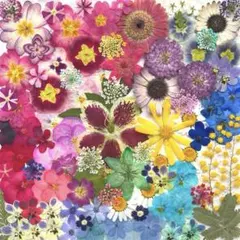 Item thumbnail for item 3f85d9e7-6a0e-4cfe-a867-e42bfe4163f2