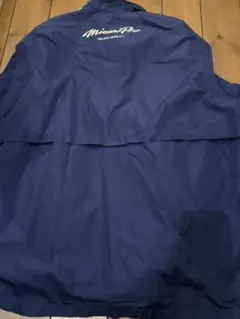 Item thumbnail for item 01461465-60be-4657-9aec-68ddd707d721