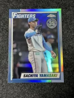 Item thumbnail for item 92171c85-9105-443e-8ef8-69134e627003