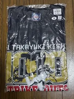 Item thumbnail for item 8a7d9081-d997-46dd-9000-dc0494f92d3c