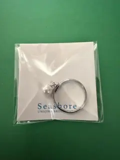 Item thumbnail for item 8b265352-a167-4a08-94b5-304d9691095b