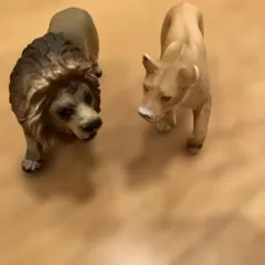 Item thumbnail for item fc66afd7-bec5-4b7f-96fd-3740b6f443a1