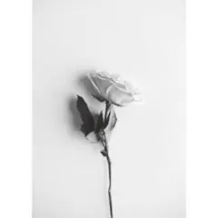 ベイスボール！様専用