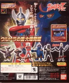 mermanlif001様専用 （カネゴン）