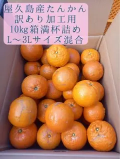 2026年最新】たんかん 屋久島の人気アイテム - メルカリ