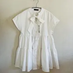 Item thumbnail for item 3255a5e0-384b-4e72-8909-549179080b8a