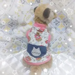 pi様 リクエスト 2点 まとめ商品