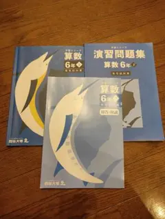 早稲アカ★算数 6年下