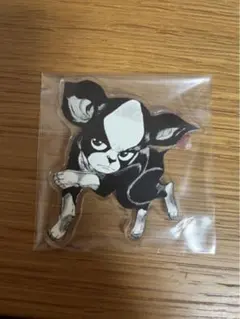 ジョジョの奇妙な冒険　イギー　バッジ