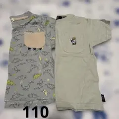 110サイズ 男の子　Tシャツ　恐竜　シューラルー　ポロ　半袖カットソーのサムネイル