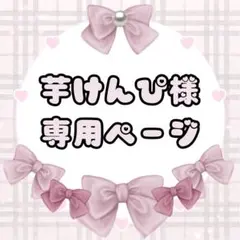 芋けんぴ様専用ページ