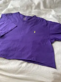 POLO RALPH LAUREN ポロ•ラルフ•ローレン クロップドTシャツ