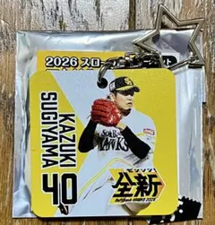 Item thumbnail for item ee54c244-04ea-4e2c-93c5-bfe5f0f37537