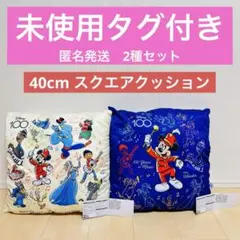 未使用タグ付き2種セット！ディズニー100周年記念クッション(40×40cm)