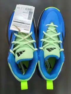 Item thumbnail for item b2dfe98a-f999-4094-afa6-fe4fff36a3db