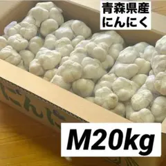 大特価】青森県産 にんにく M 20kg 福地ホワイト 免疫力アップ 激安