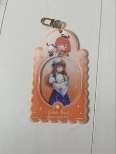 カラフルピーチ サンリオキャラクターズ 硬質カードケース