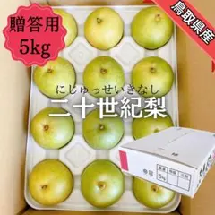 青森県産メロン ユウカ 特選セット 5玉 | Mercari