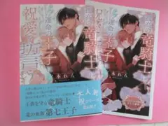 未読新品「孤高の竜騎士は運命の王子に祝愛を誓う」非売品・番外編小冊子付き