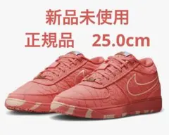 【新品未使用】 NIKE book1 25cm 2026年最新】nike book1 25の人気アイテム - メルカリ