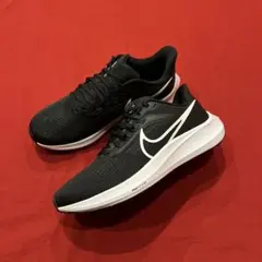 2025年最新】nike ペガサス39 26の人気アイテム - メルカリ