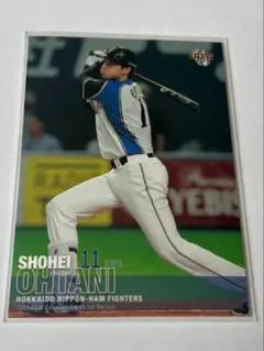 セ*グ様 【超貴重】 大谷翔平 直筆 サイン フォト New Balance 非