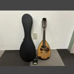 Item thumbnail for item 4f32471c-9c45-4929-9fa6-7877431876c1