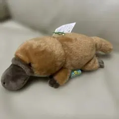 はしっこ　かものはし　でないと　ぬいぐるみのサムネイル